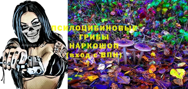 круглые Аркадак