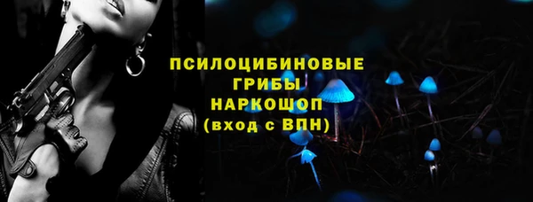PSILOCYBIN Армянск