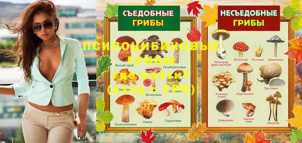 первитин Горняк