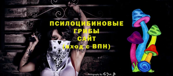 бутират Горнозаводск