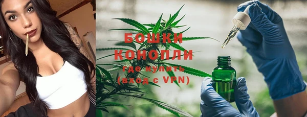 PSILOCYBIN Армянск