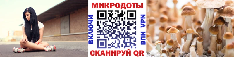Галлюциногенные грибы Psilocybe Каневская